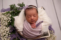Hailey