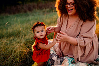 Ashlyn