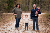 Family 2017